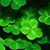 Rhonda Robert Halton's profile image