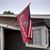 Carlos O. Flores's profile image