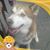 Mary Mc Kinney's profile image