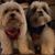 Carol Watts's profile image