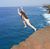 Kellie Fiorello's profile image