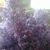 Attie Lordan's profile image