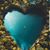Lily Viruet's profile image