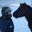 Helene Lederman's profile image