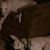 Rhonda Miller's profile image