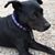Cindy Kosciuk's profile image