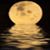 Doris Yates's profile image