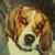 Christine DeFour's profile image