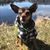 Allison Holder's profile image