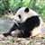 Fei Xue's profile image