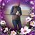 Linda Cook's profile image