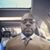 Octavius Sanders's profile image