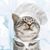 Charmaine Barrale's profile image