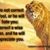 Faysal Younis's profile image