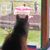 Deb Bridges's profile image