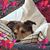 Jennifer D'Amore's profile image