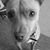 Peter Miriani's profile image