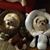 Carol Hoffman's profile image