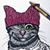 Dama M. Nestor's profile image