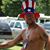 Jackie Mcelyea's profile image