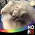 Jen Smith's profile image
