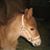 Dave Barry's profile image