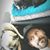 Kevin Paul Hopper Jr.'s profile image