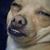 Roberto Leonel Rincon's profile image
