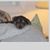 William Holmes's profile image