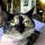 Veneta Britt's profile image