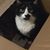 Tami Ward Harrison's profile image