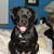 Tracy Arthur's profile image