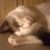 Erin Weller's profile image