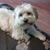 Diane Hunter Behling's profile image