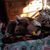 Kelly Delbaugh's profile image