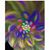 Renee Charest's profile image
