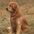 Judith Nicklin's profile image