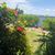 Cora M. Supan's profile image
