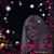 Darci Stewart's profile image