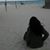 Simona Gad's profile image