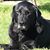 Trish Hahn's profile image
