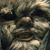 Joe Schmaling's profile image