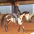 Chancie Bryan's profile image