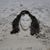 Tammy Law's profile image