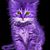 Monica Jones's profile image