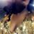 Marquita Ferrell's profile image