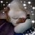 Donna Cover Cullen's profile image