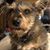 Shelley Acquard Moore's profile image