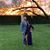 Gina Guerzon Davis's profile image