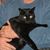 Beep Reed's profile image